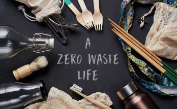 zero-waste